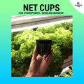 (6pcs) Net Pots / Net Cups / Mesh Pots - For Hydroponics (2 inches & 3 inches)