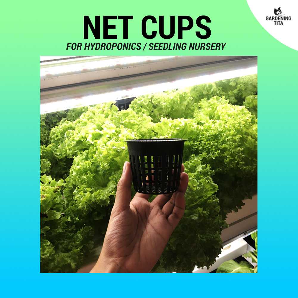 (6pcs) Net Pots / Net Cups / Mesh Pots - For Hydroponics (2 inches & 3 inches)