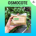 (250G) Osmocote Slow Release Fertilizer (15-9-12 / 14-14-14) - For Gardening