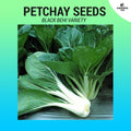 Petchay Seeds (High Germination) 800+ seeds