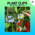 (10 pcs) Reusable Plant Clips - For Hanging Vine Plants / Vegetables