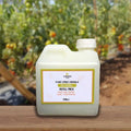 (250 ML) Ready To Use Neem Spray Non Toxic Organic Pesticide - Anti-Aphids, Pests, Mites, Mealy Bugs - 500ml Refill Pack