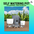 Self Watering Pots For Plants Automatic Watering For Plants