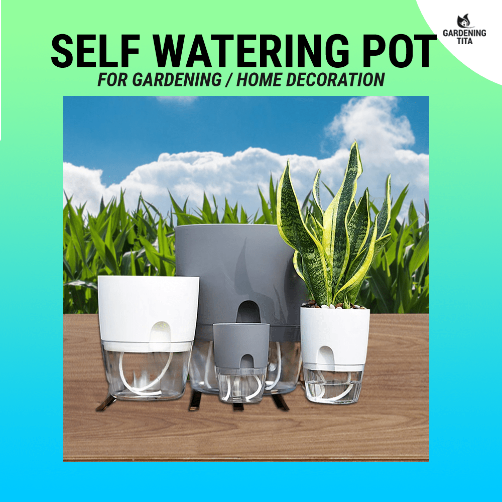 Self Watering Pots For Plants Automatic Watering For Plants