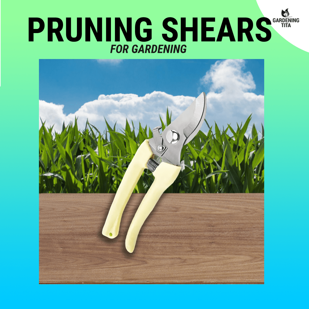 Pruning Shears Cutter Plant Scissor Branch Pruner Hand Tool Pruning Shears Flower Fruit Tree Garden Shears