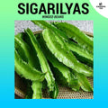 Sigarilyas / Cigarillas / Winged Beans Seeds (High Germination) ~10 seeds