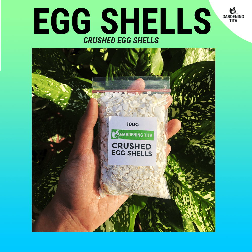 (100g) Crushed Eggshells - For gardening / agricultural use