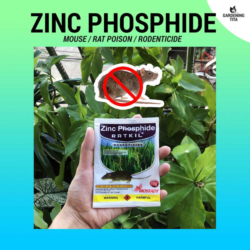 Zinc Phosphide - Rat killer, anti rat, anti mouse, lason sa daga